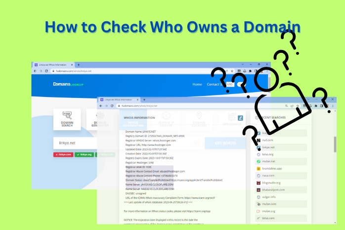 How To Check Who Owns A Domain